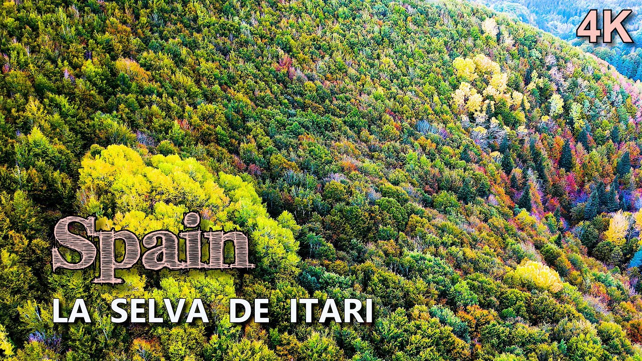 The SELVA de IRATI in Navarra (Spain) ⛺ The intense colors of autumn. (4K UHD)