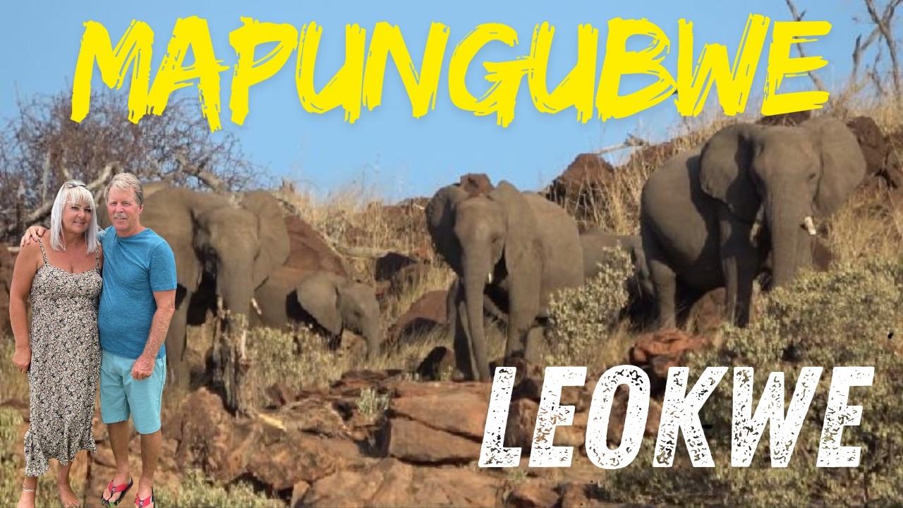 This was insane! An elephant sighting beyond imagination! Leokwe Camp Mapungubwe National Park.