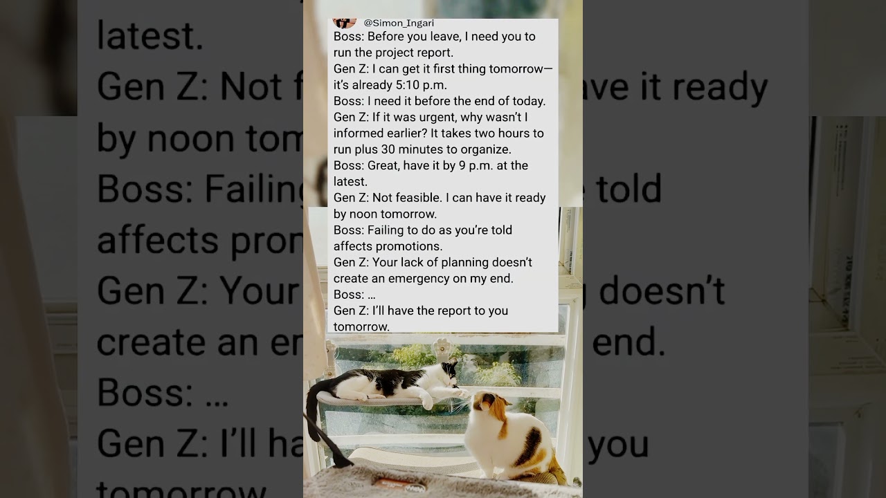 Boss demanded a report by 9 p.m. &mdash; Gen Z&rsquo;s response shocked the room 😭