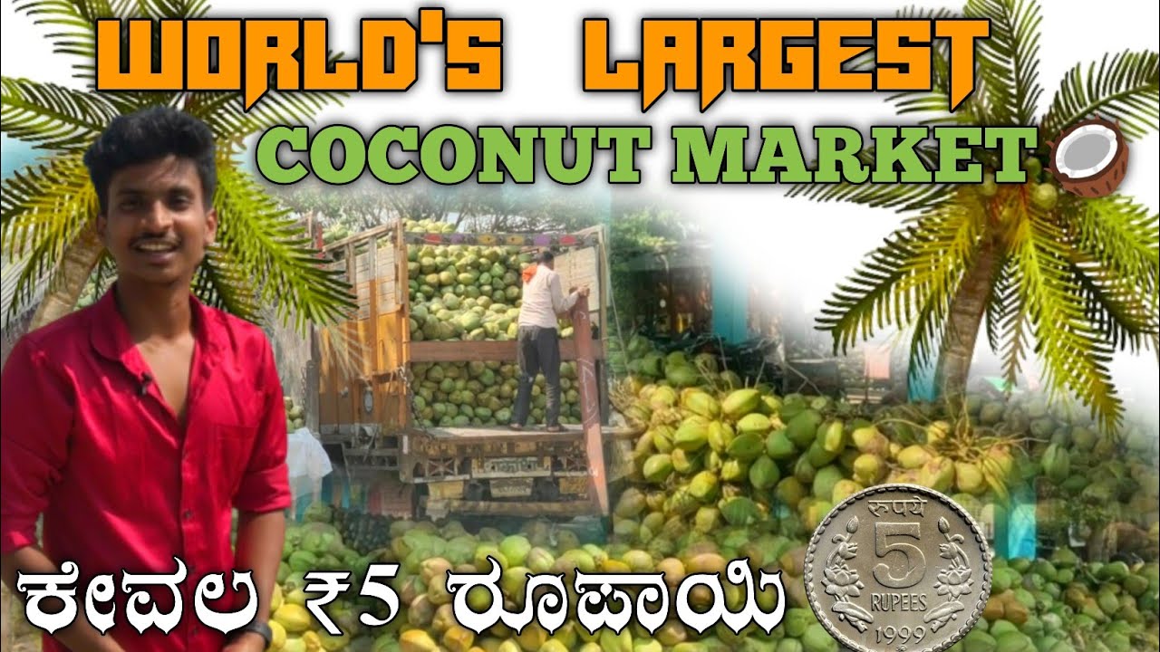 WORLD'S LARGEST COCONUT MARKET😍 | COCONUT BUSINESS MADDUR APMC MARKET #coconutwater#coconut