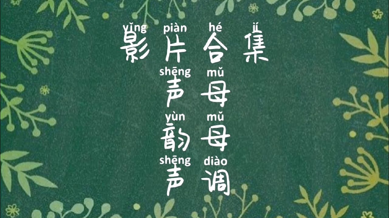 一次过让你了解汉语拼音的声母，韵母和声调～😎