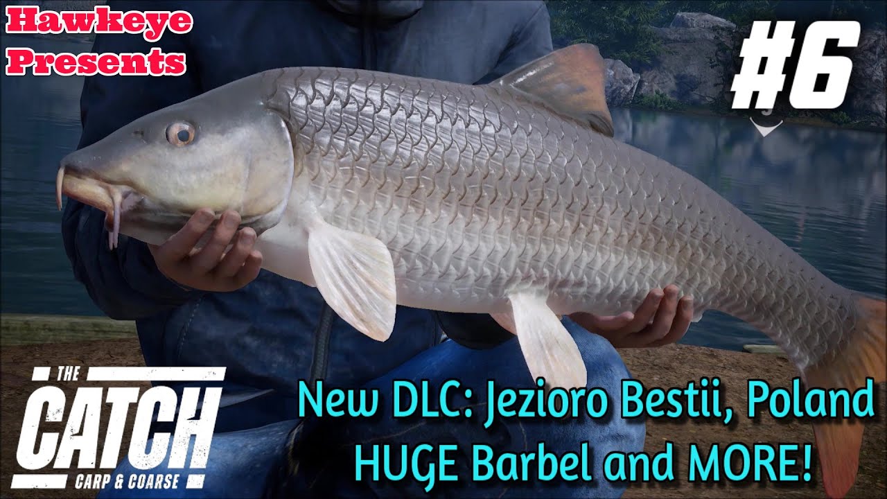 THE CATCH: Carp and Coarse - New DLC: Jezioro Bestii Poland HUGE Barbel & MORE!
