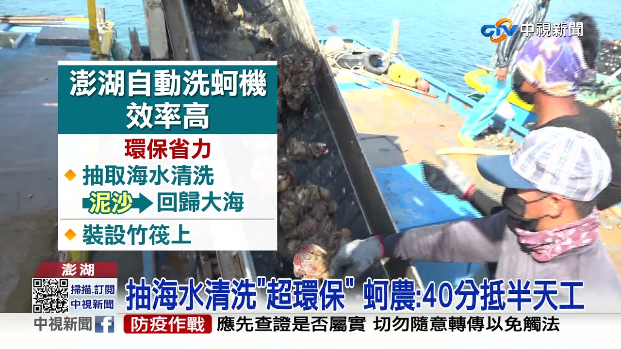 澎湖自動洗蚵機! 省力又環保