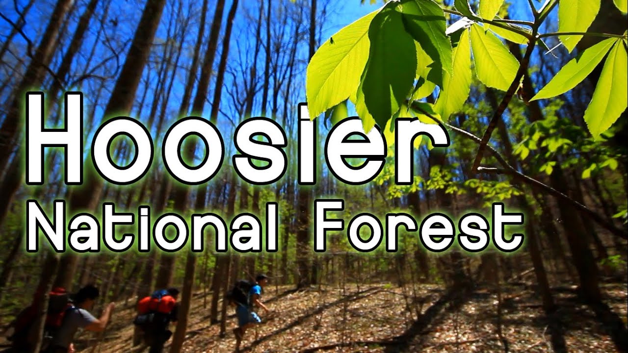 Hoosier National Forest | Best Indiana Hiking, Bushcraft, Backpacking, and Camping
