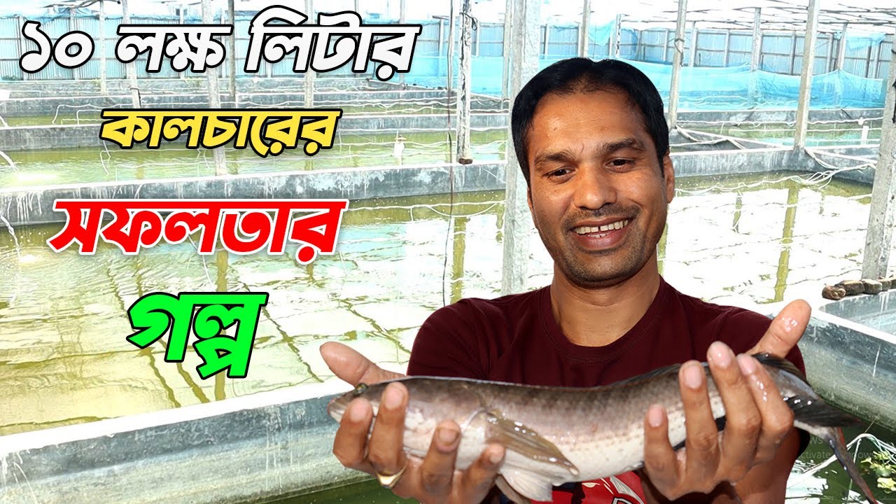প্রবাস জীবন ছেরে দেশে ফিরে বায়োফ্লক কালচার করলেন || Expatriate bioflock farming ||