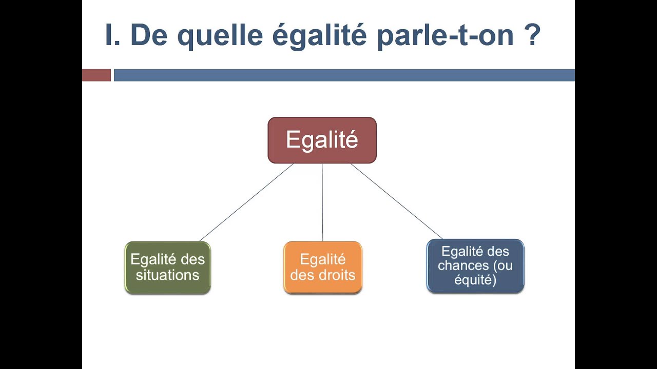 Quelles conceptions de l'égalité dans les sociétés démocratiques ?