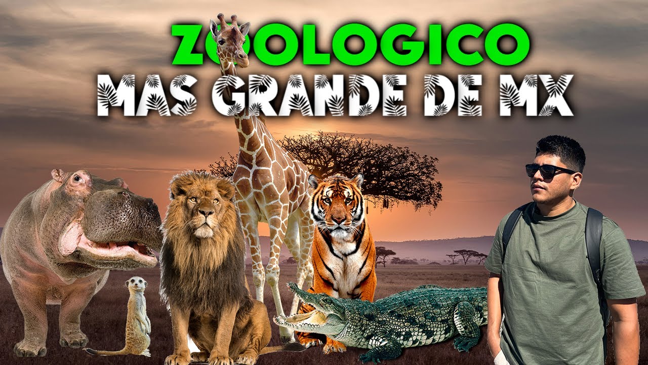 Visitamos el ZOOLOGICO de Guadalajara