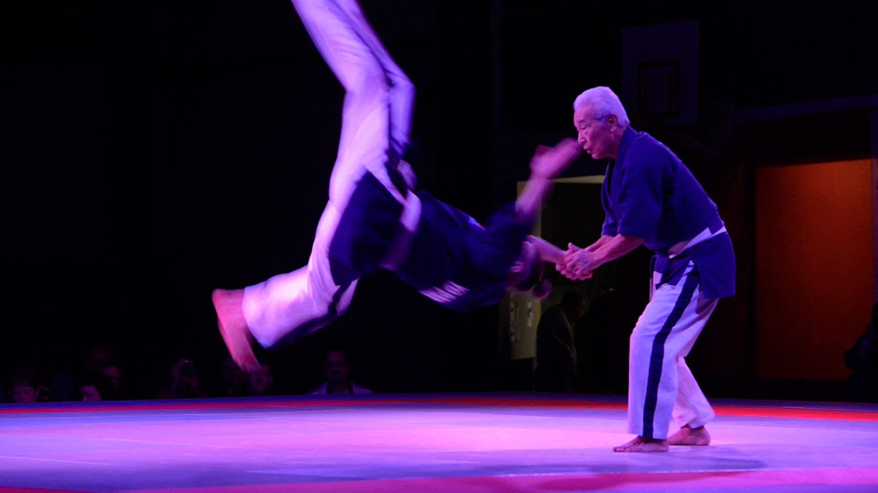 Festival Arts Martiaux MERU BUDOKAN 2014 Best of