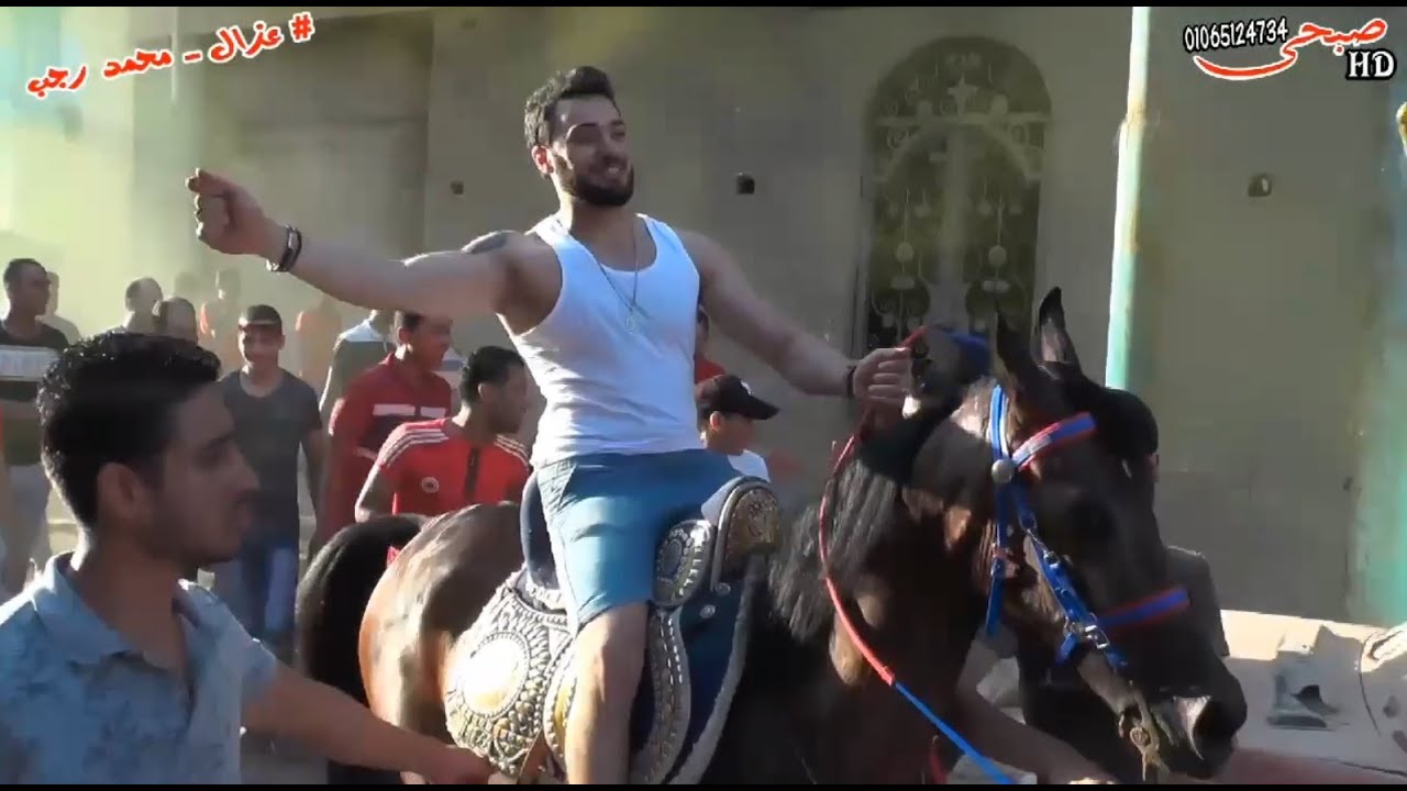 عزال شحتفه  _ كفر الزيات عزبه عفيفي