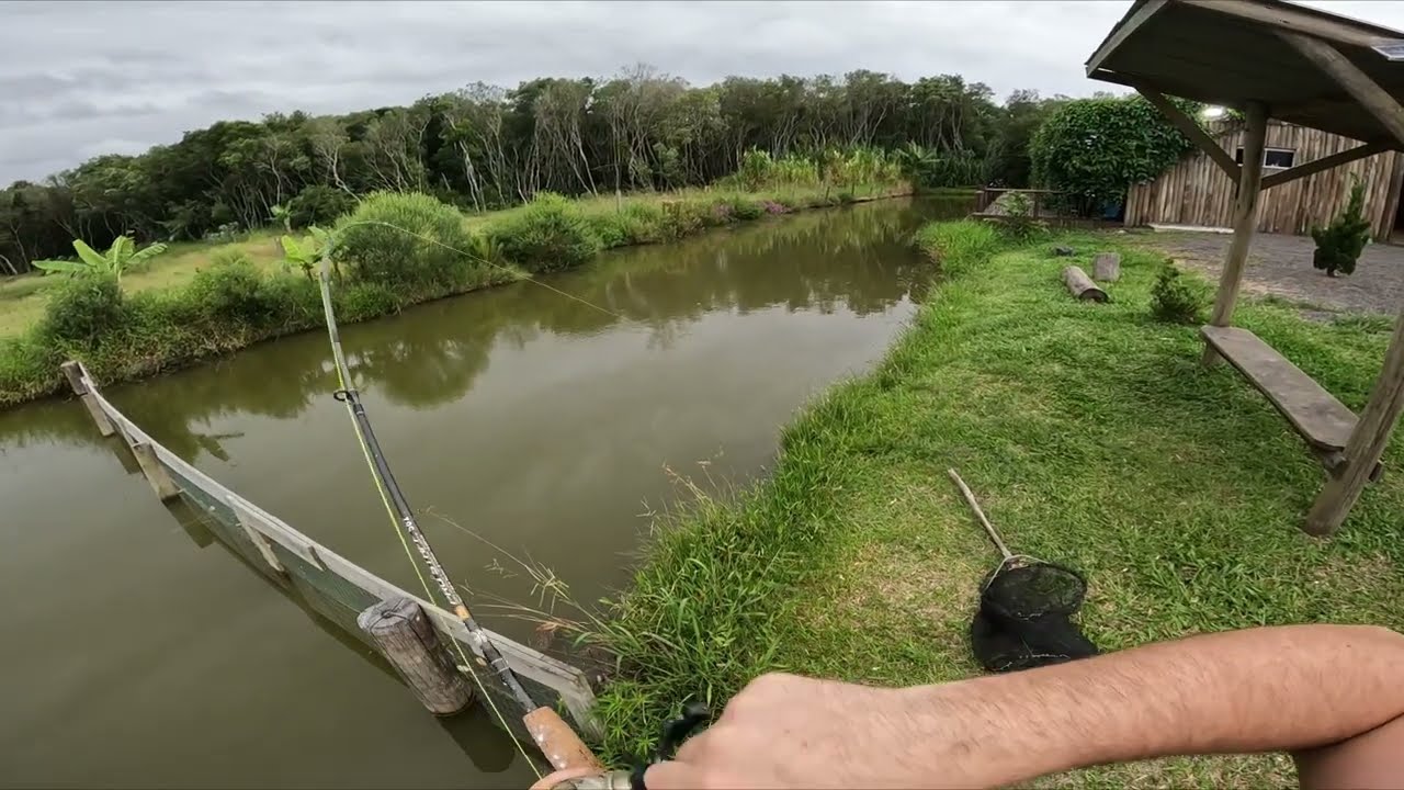 PESQUEIRO DO GUGA SEMPRE SAINDO PEIXE BOM