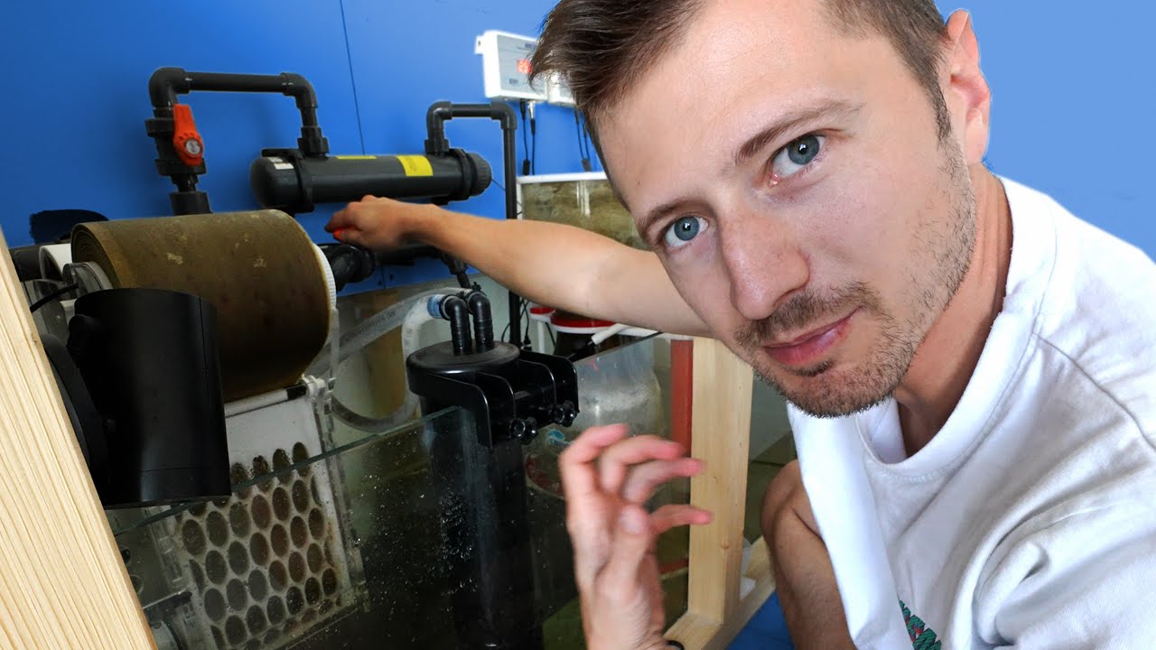 Mein 1400L AQUARIUM ist eine FEHLKONSTRUKTION? 😔