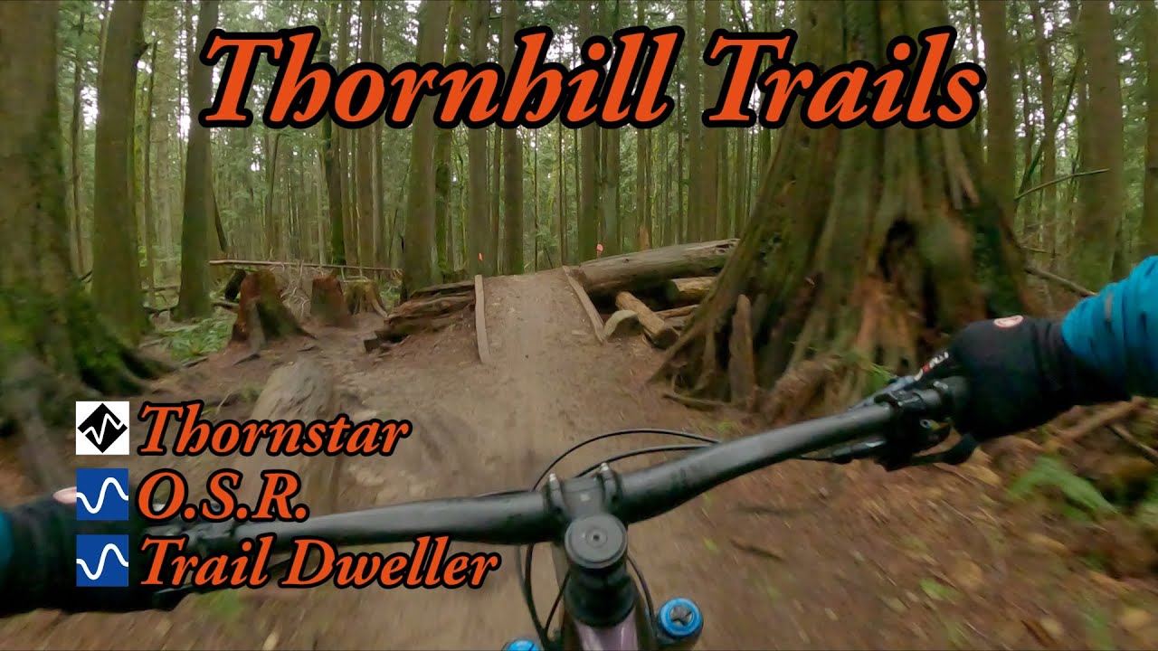 Best MTB trails in Maple Ridge, BC - Thornstar, O.S.R. and Trail Dweller