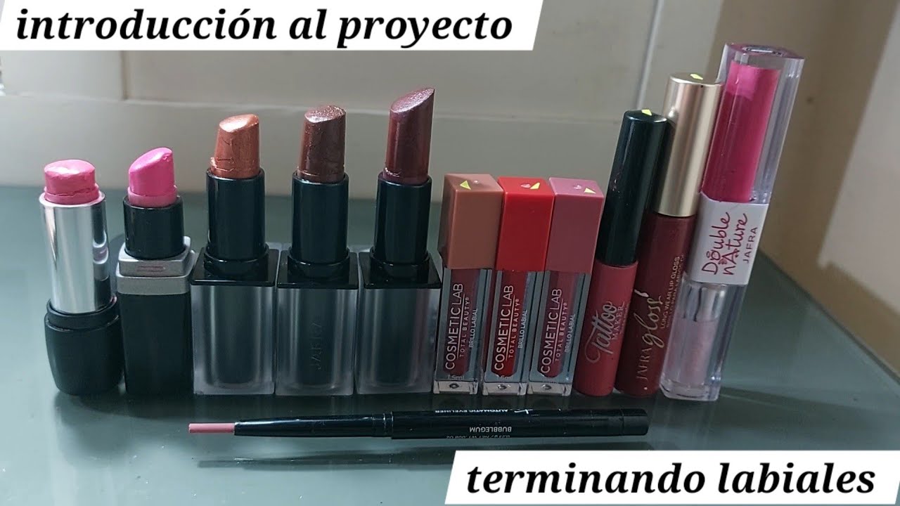 Introducción al proyecto terminando  labiales en 2026