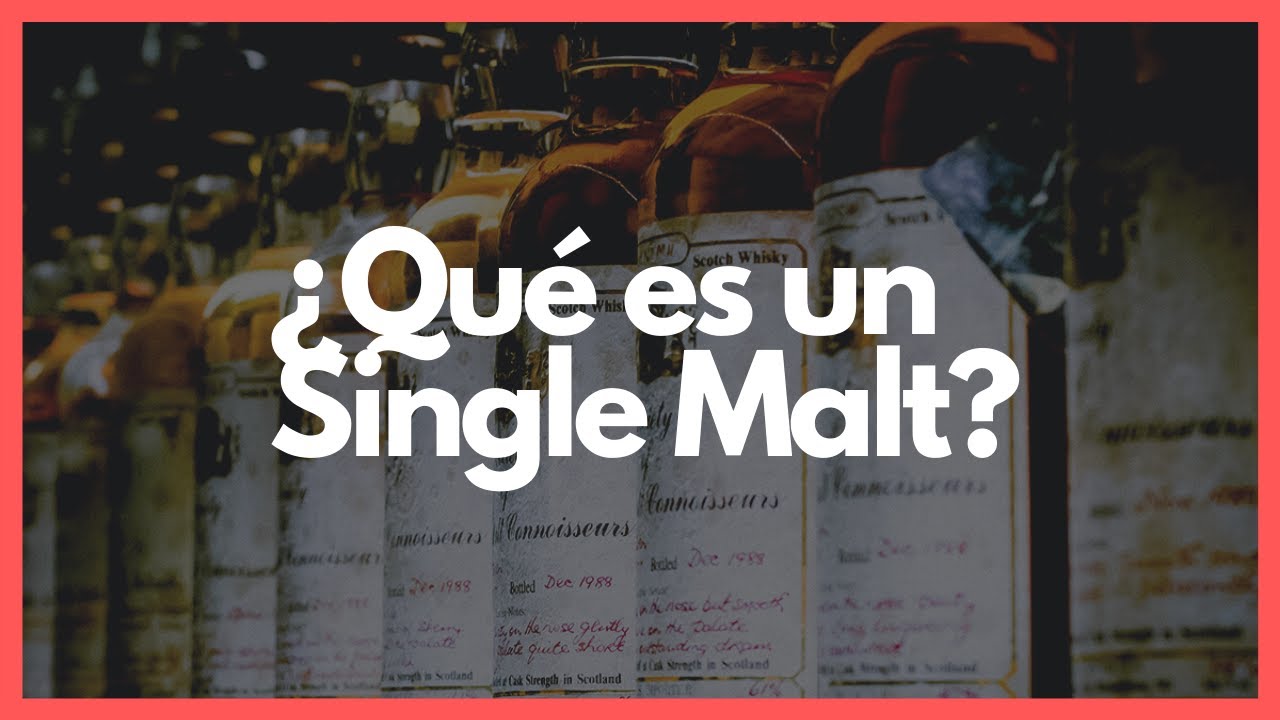 ¿Qué es un SINGLE MALT? 🥃 Las 5 CATEGORÍAS del whisky ✅