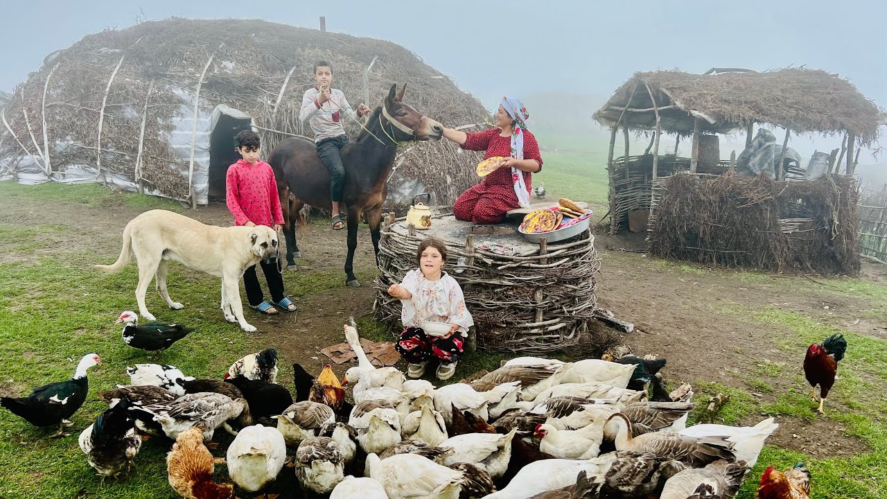 Exciting Nomadic Day: Caring for Livestock & Baking Fresh Lavash Bread in Tandoor