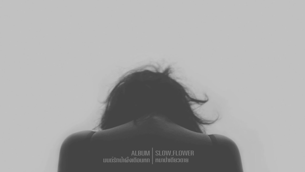 สวนไดโนเสาร์ - Slow ,Flower [DEMO]