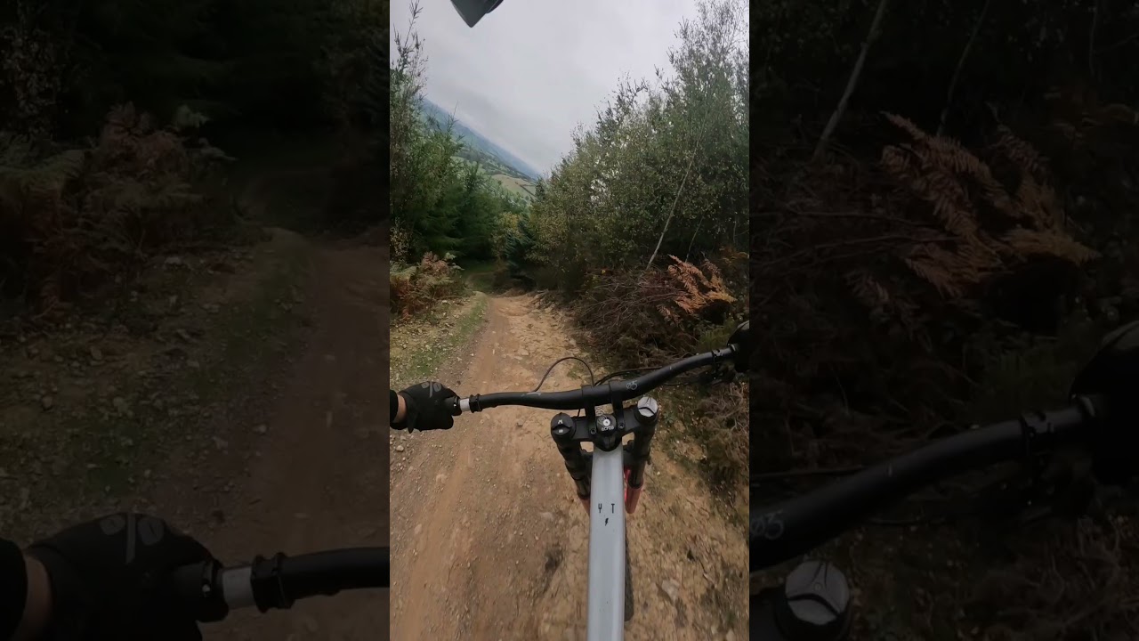 Caersws - dragons tail into lower quarry line