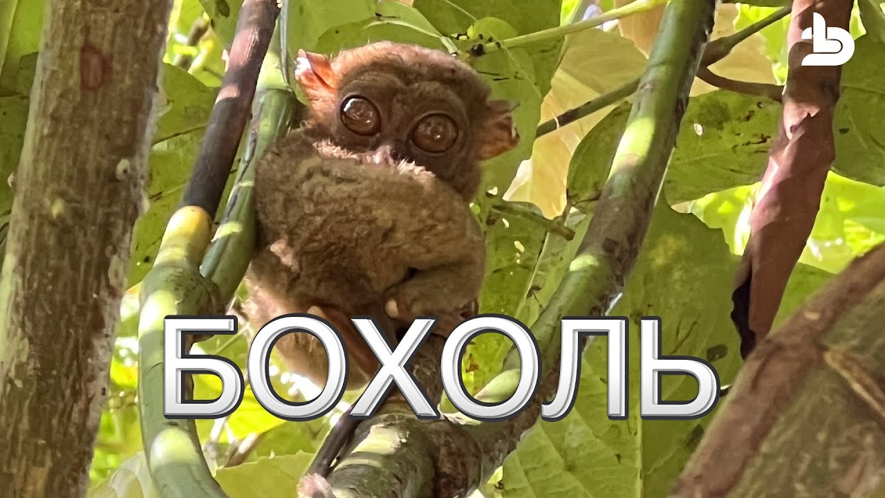 Филиппины: СЕБУ БОХОЛЬ ПАНГЛАО и минусы Филиппин