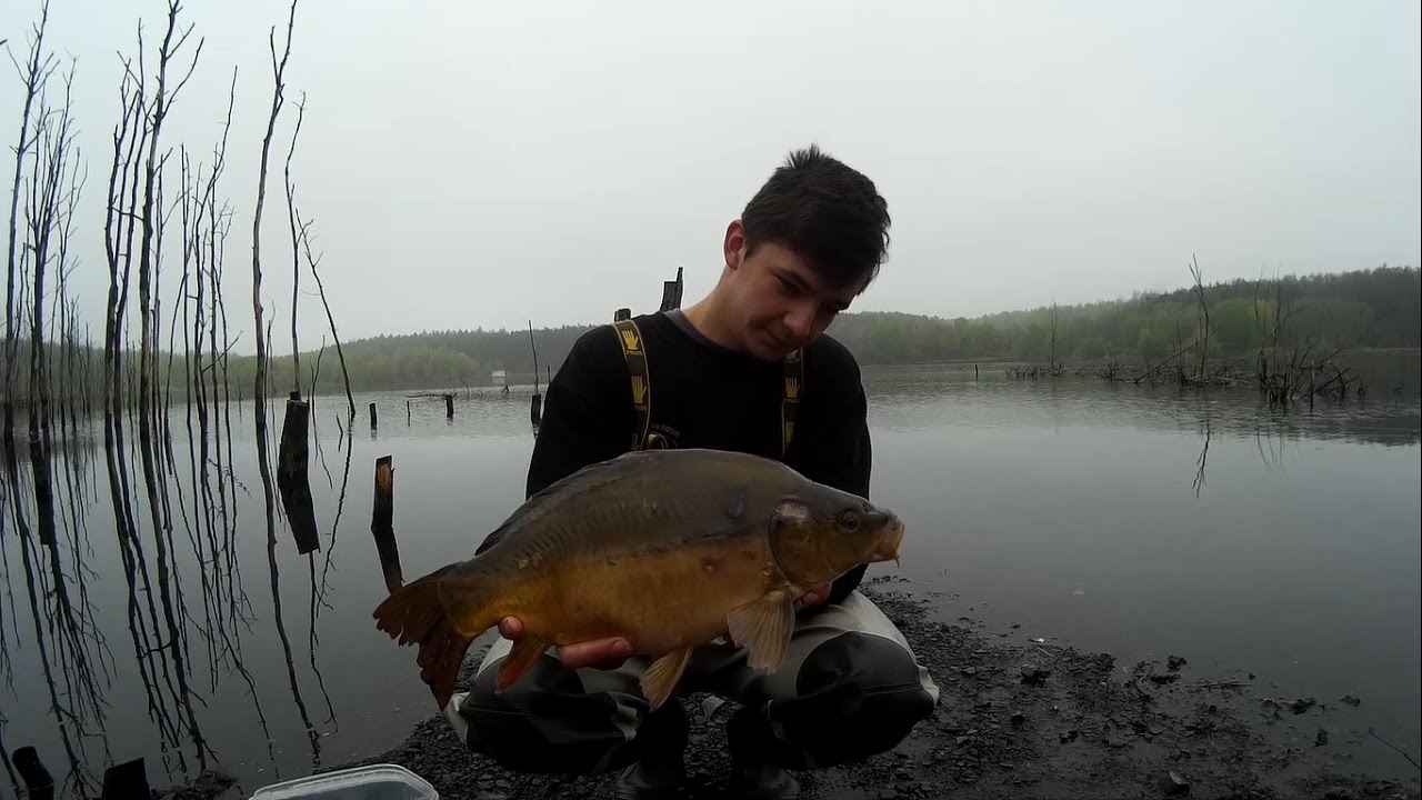 W poszukiwaniu wiosennych karpi - Carpingators team