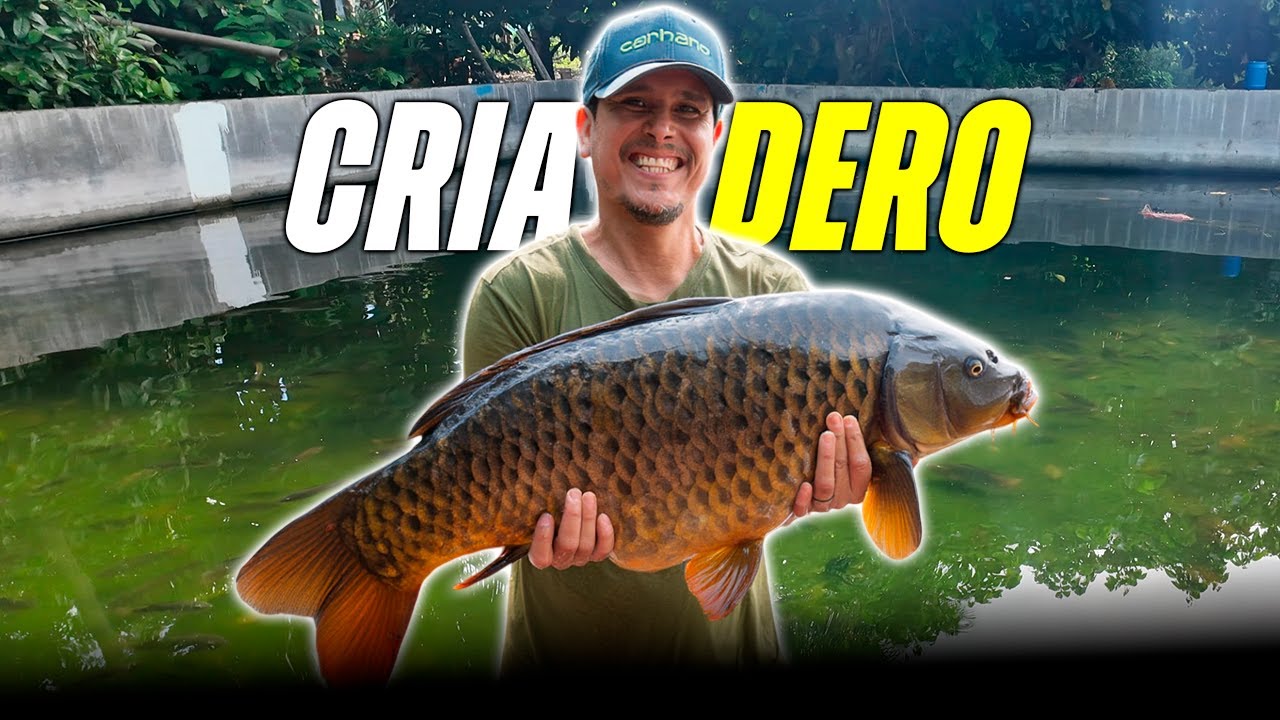🚨PESCANDO TILAPIAS en EL SALVADOR, *Precios Baratos*