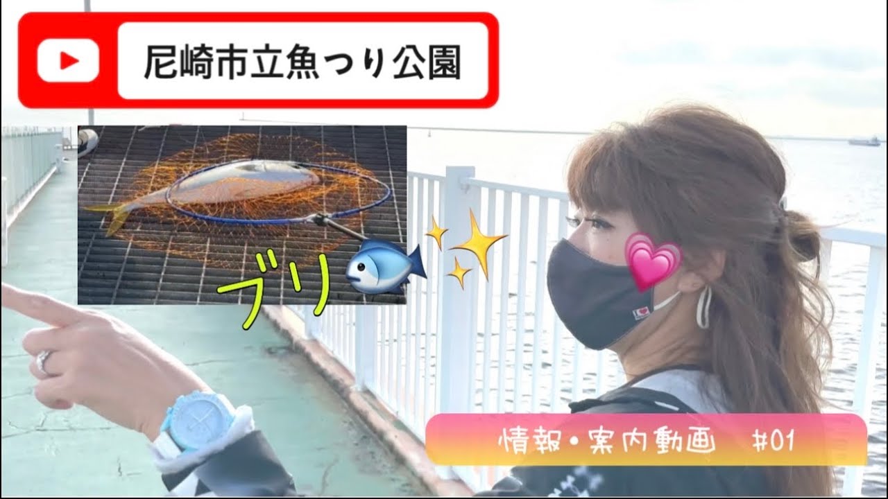 【尼崎市立魚つり公園】見学してたら、青物連発！！見ちゃった！　情報・案内　#01
