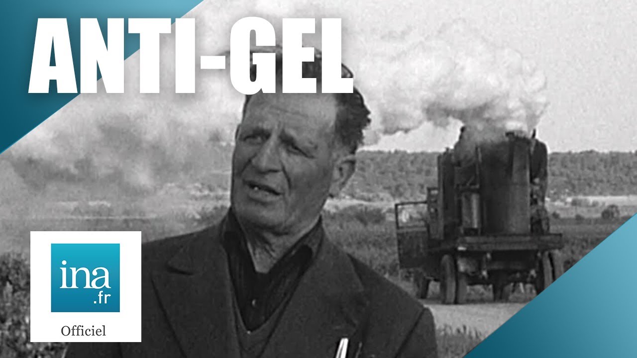 1965 : Une brigade anti-gel au secours des vignes | Archive INA