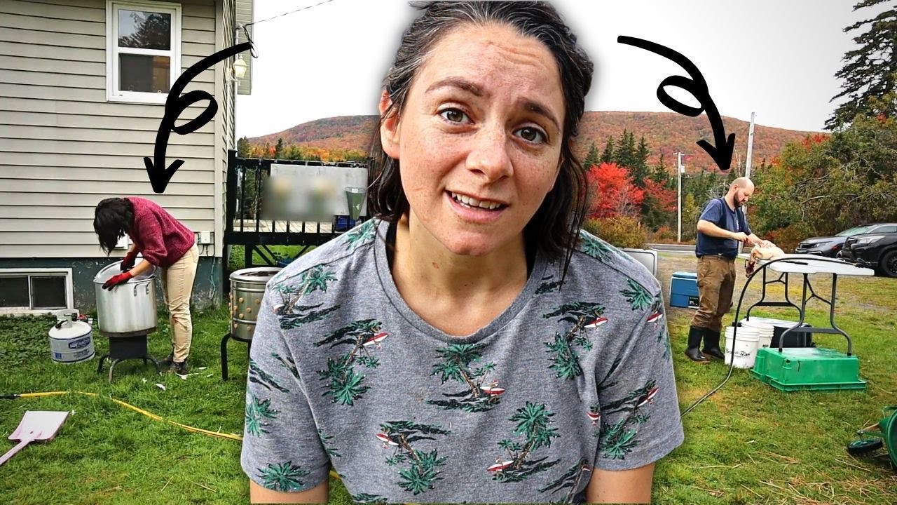 Processing  Your Own Meat Chickens Explained
