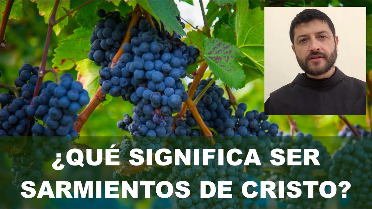 ¿Qué significa ser 