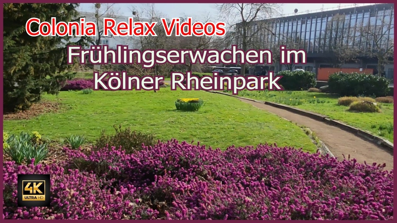 Rheinpark Köln im Frühling 2026 | Einer der schönsten Parks in der Stadt | #germany