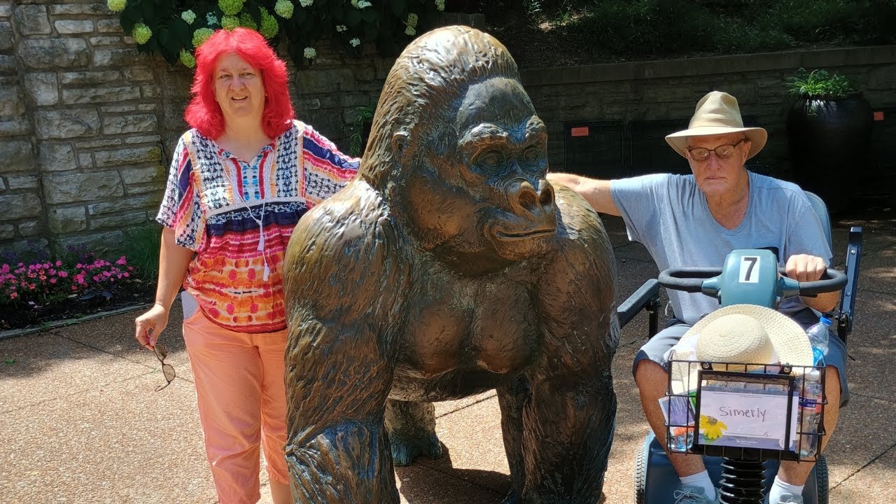 St  Louis Zoo