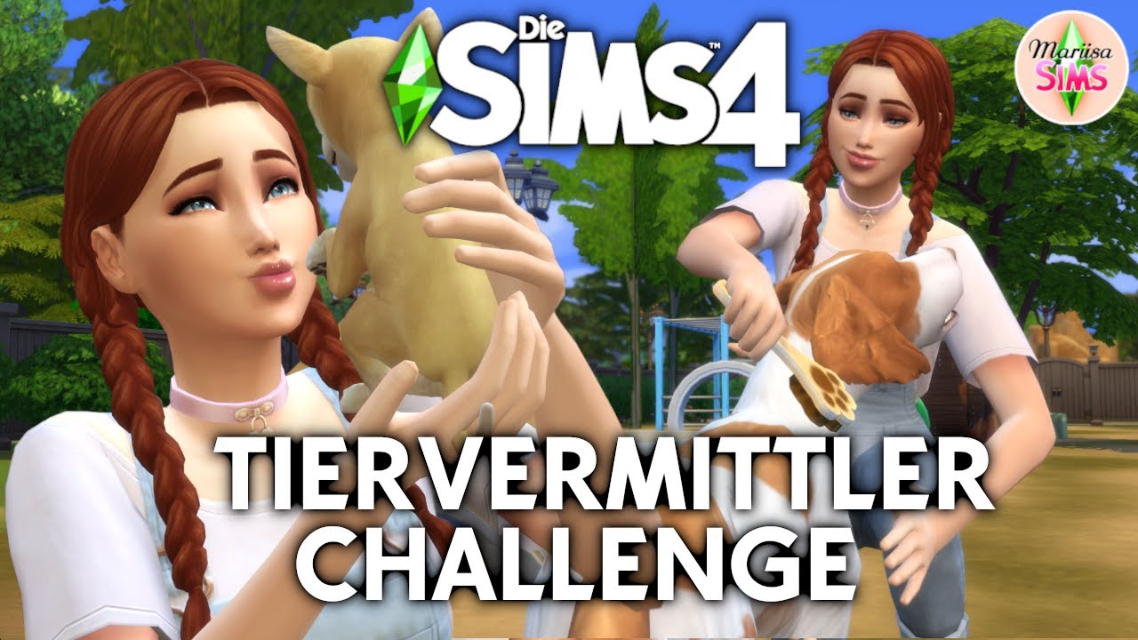 Die Sims 4 Tiervermittler CHALLENGE 🐶 Regeln & Ablauf