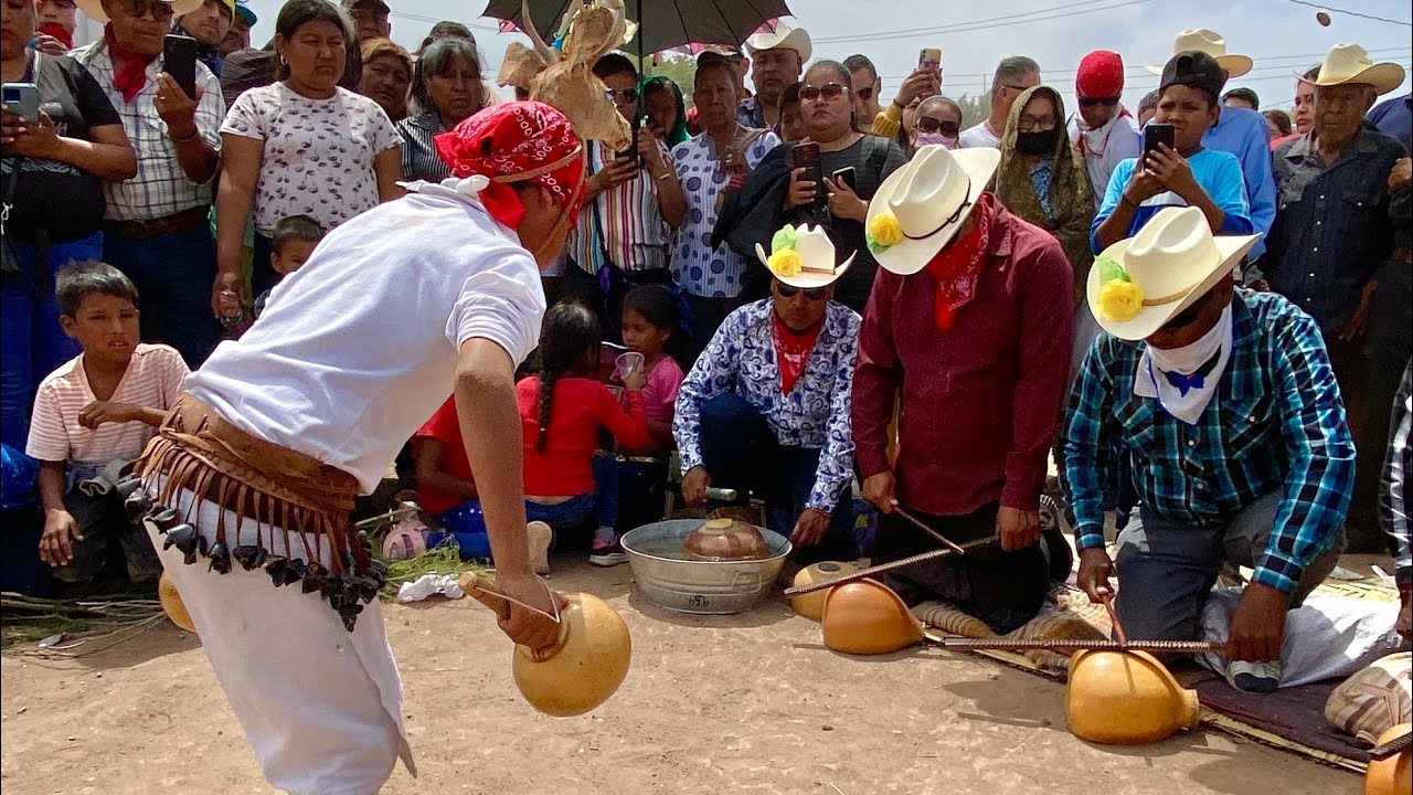 Pequeño Danzante de Venado Jupare Huatabampo 2024