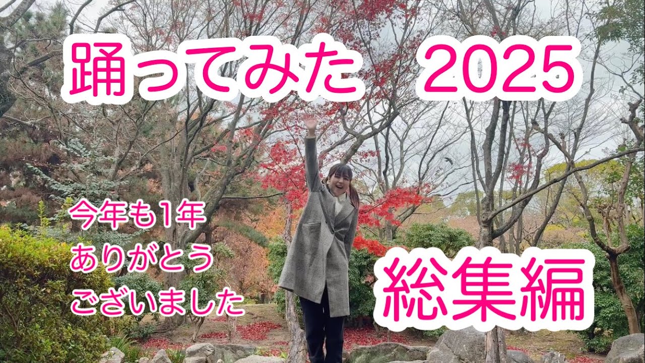 踊ってみた2025総集編