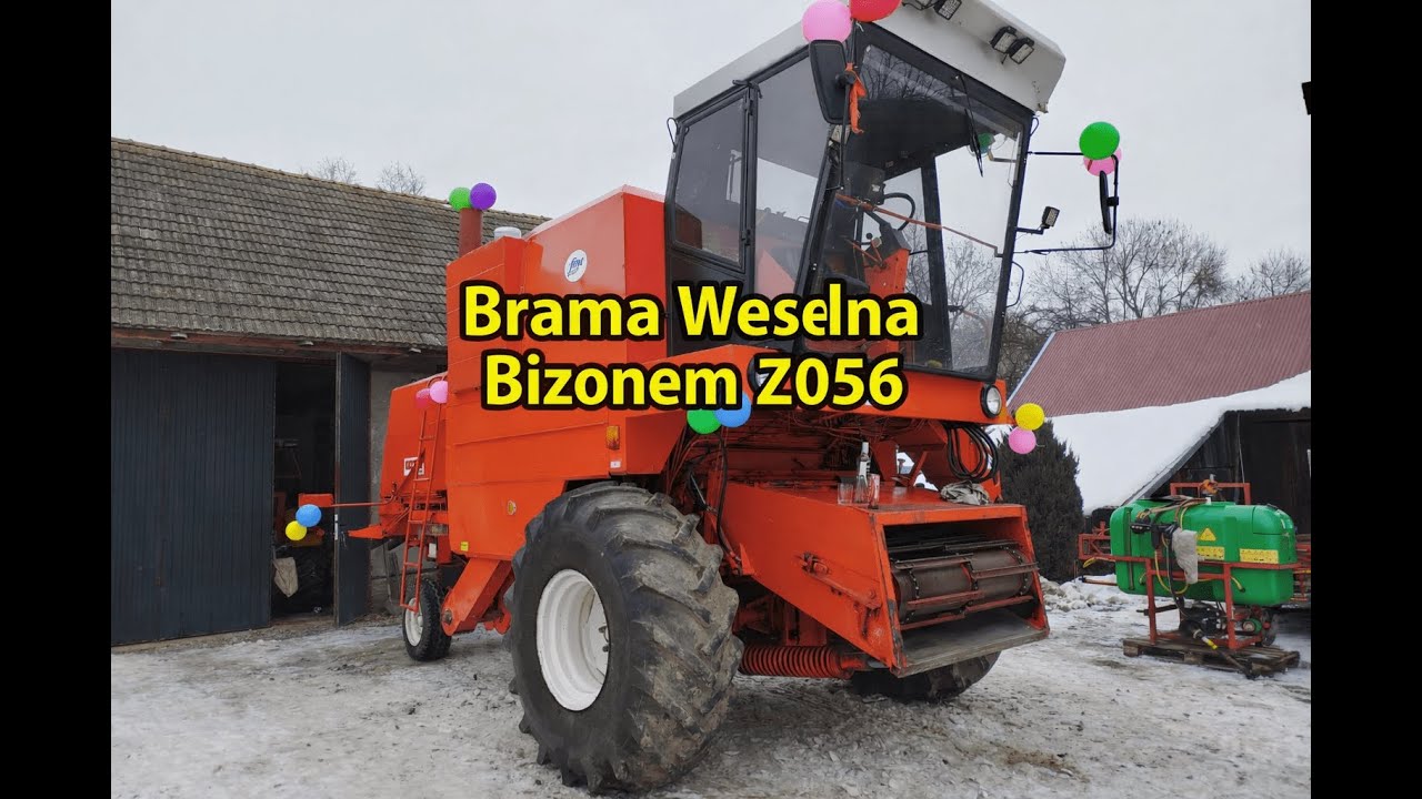 Brama Weselna Bizonem Z056 Super/SW 400 Zimowe Przebudzenie