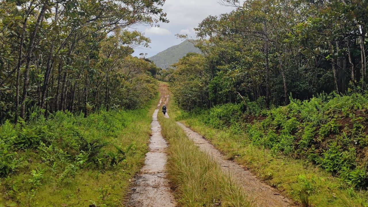 Peaceful Hike - Ethereal enchanted forest and mesmerizing views | Xiaomi 11 Ultra Camera Test