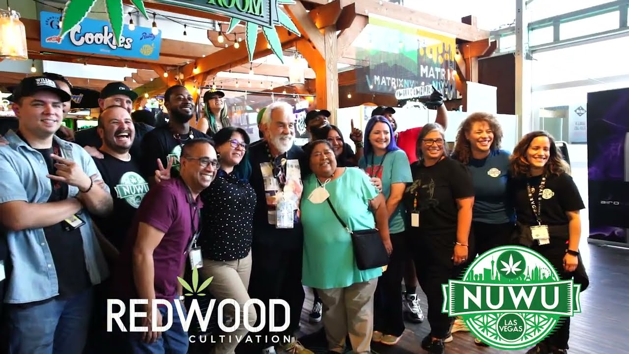 Tommy Chong in Vegas' Only Cannabis Consumption Lounge