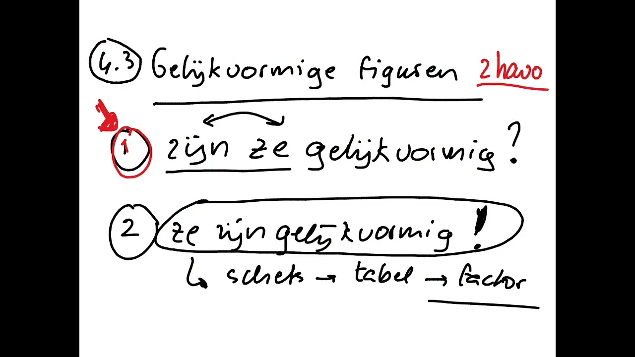 2 havo 4.3 Gelijkvormige figuren