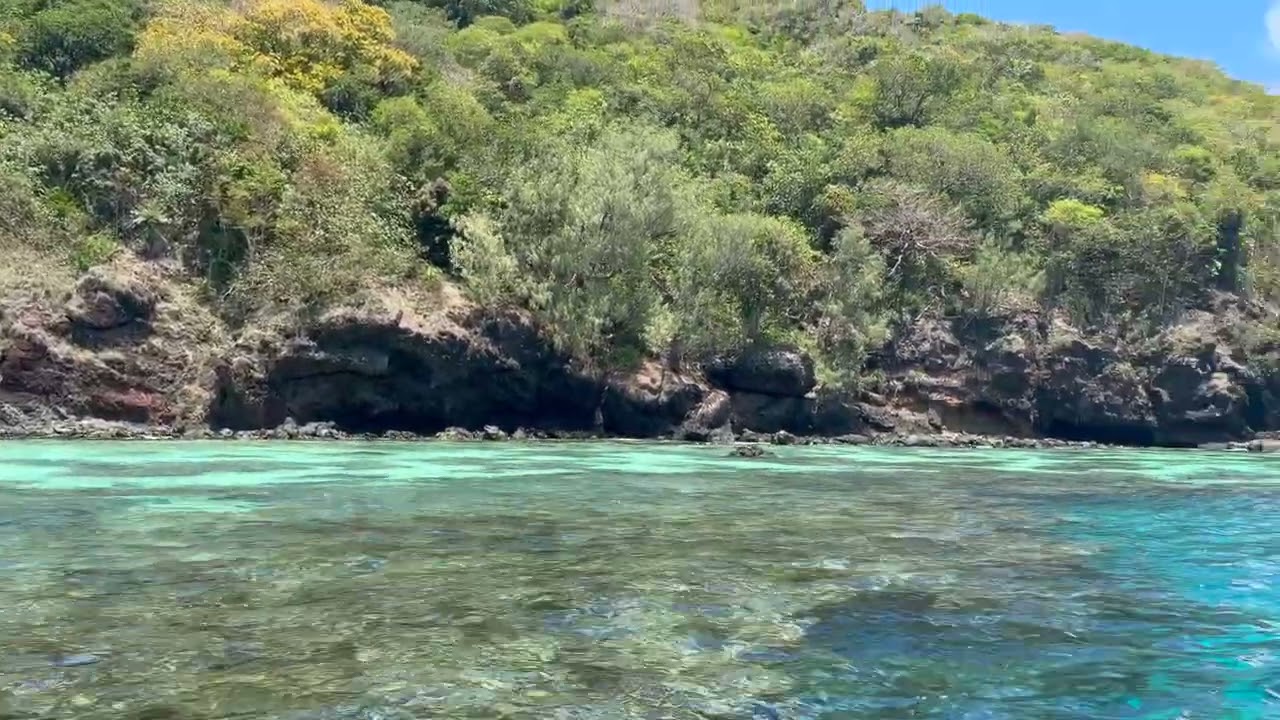 The Internet of Experiences: zendown Taveuni, Fiji