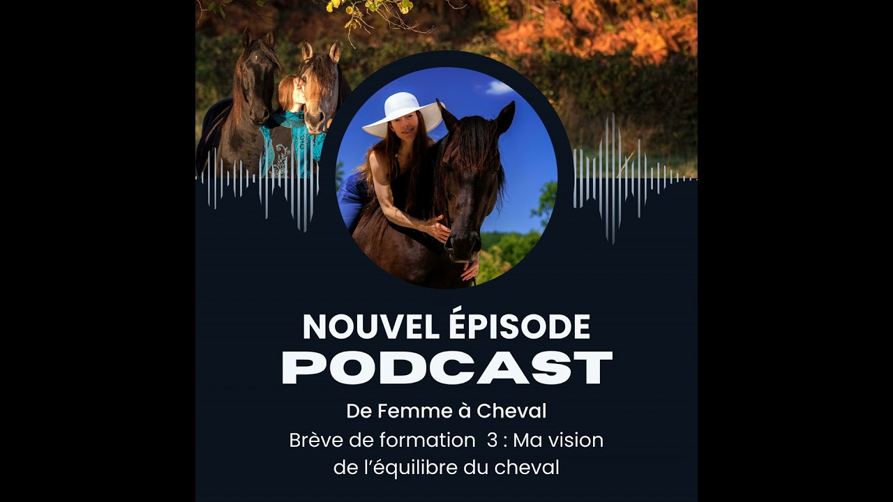 De Femme à Cheval #3 - Brève de formation : Les 3 équilibres du cheval