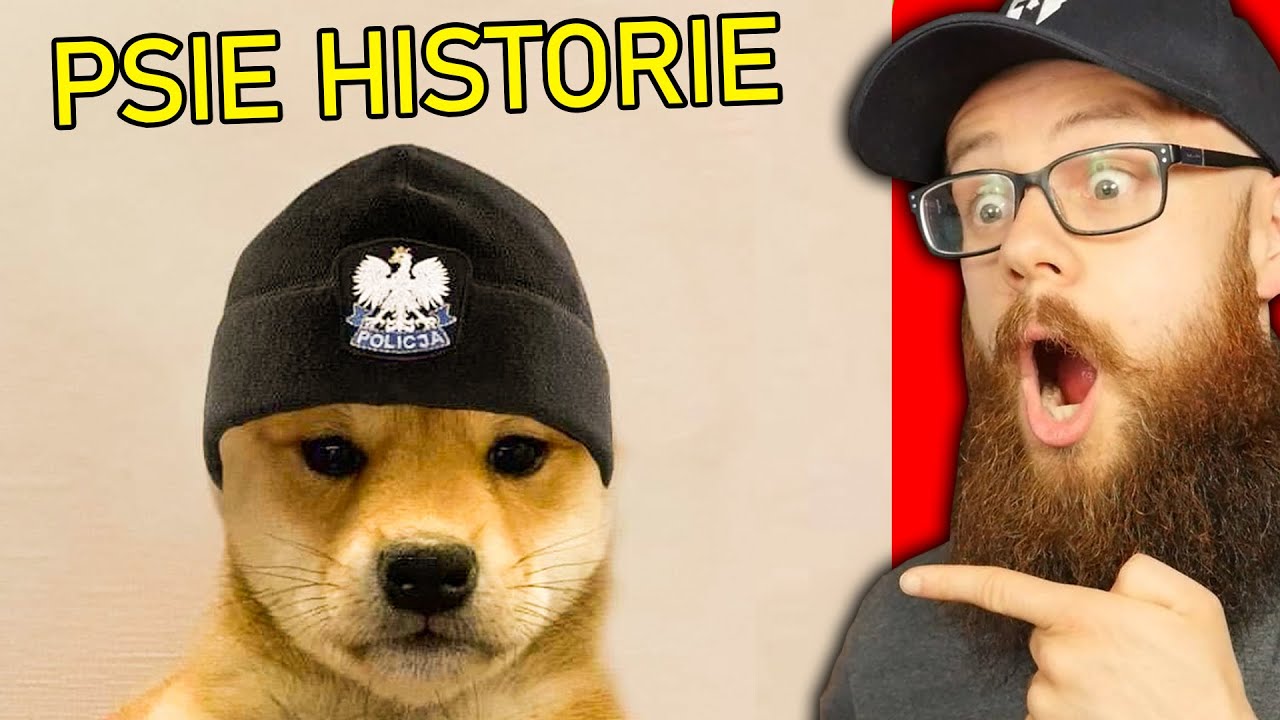 NAJLEPSZE PSIE HISTORIE W INTERNECIE *MEMY*