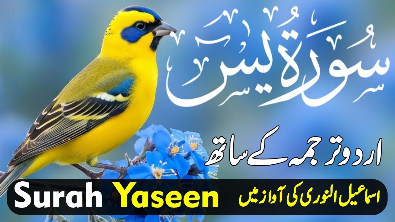 Surah Yasin || Soothing & Beautiful Recitation for Inner Peace New Style Quran || Islamic Mag Dua