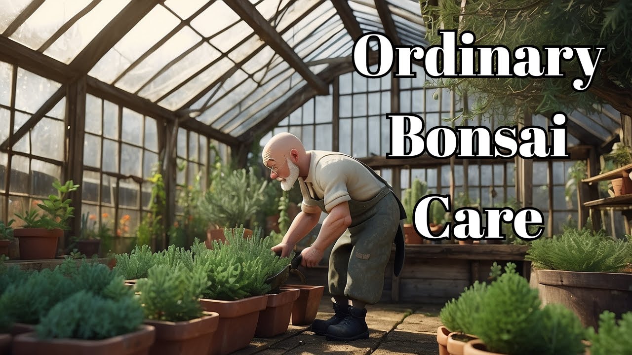 Daily Bonsai Tree Care - Robinia Pseudoacacia - (Bonsai Diary) #49