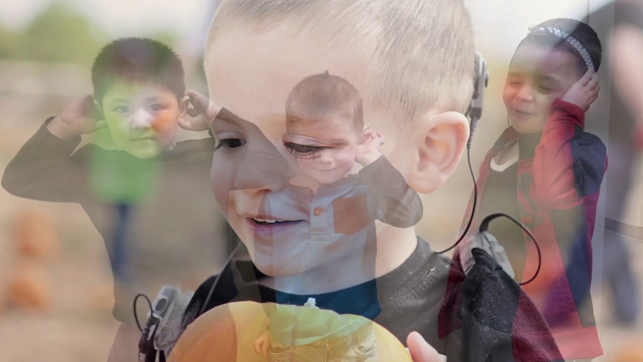 Imagine A World Without Sound - PEI Video 2018