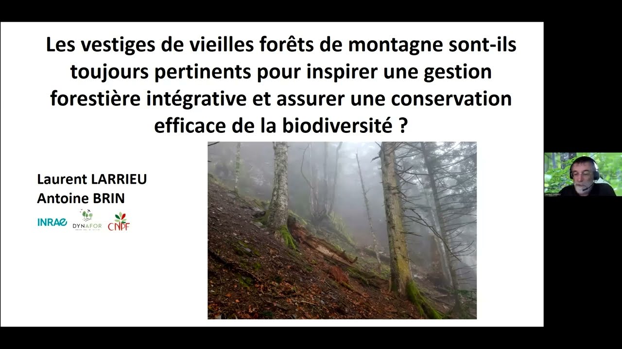 Laurent Larrieu (UMR Dynafor): Are the remnants of old-growth mountain forests always relevant (...)