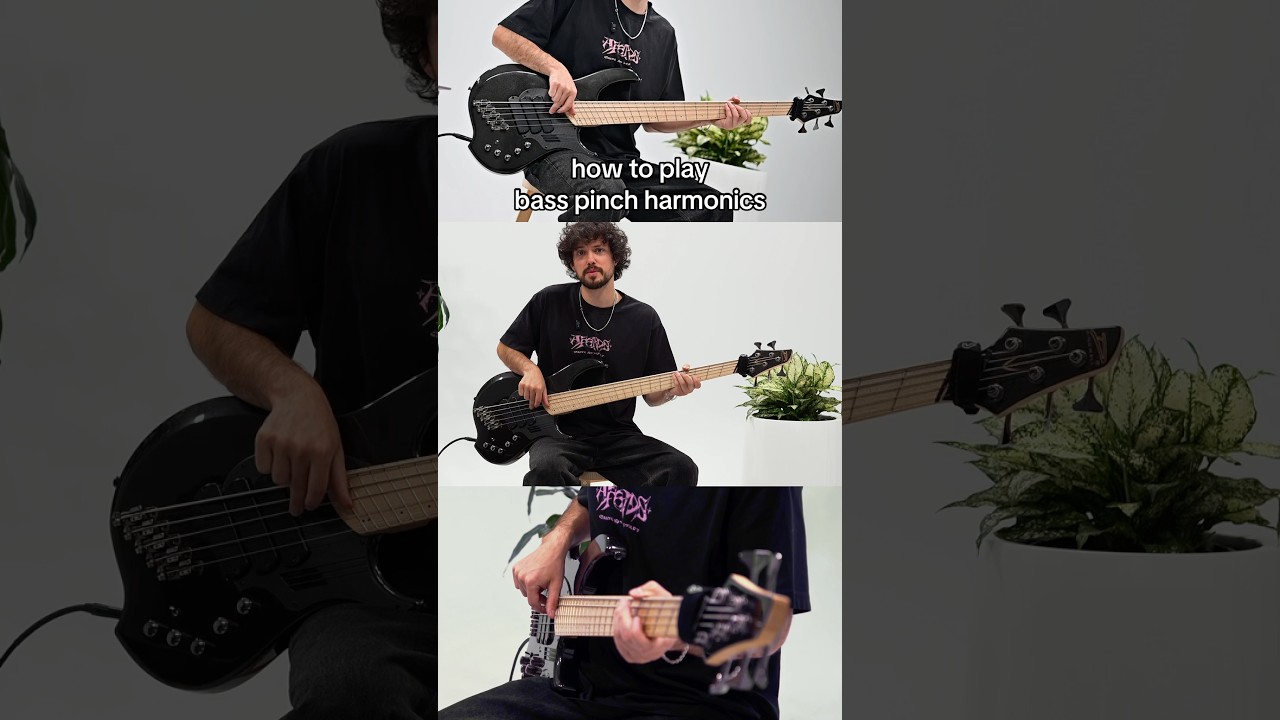 How to play Bass Pinch Harmonics