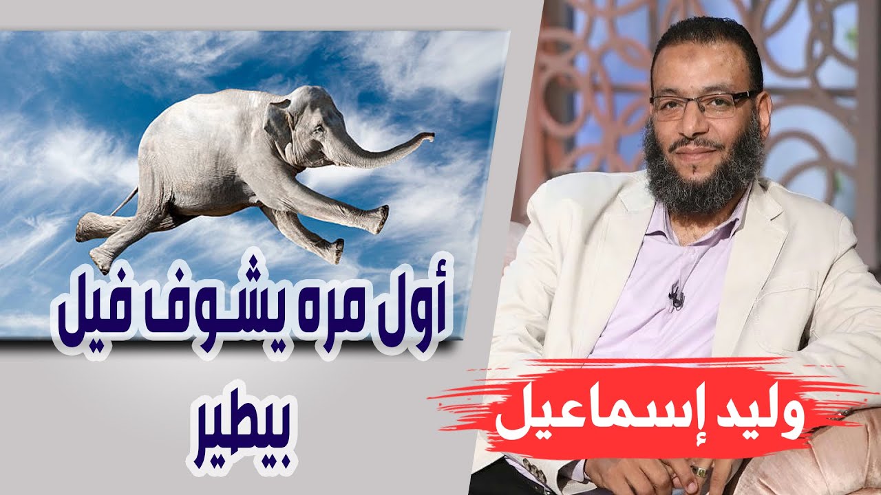 وليد إسماعيل | الحلقة 255 |  أول مره يشوف فيل بيطير 🤣🤣 !!