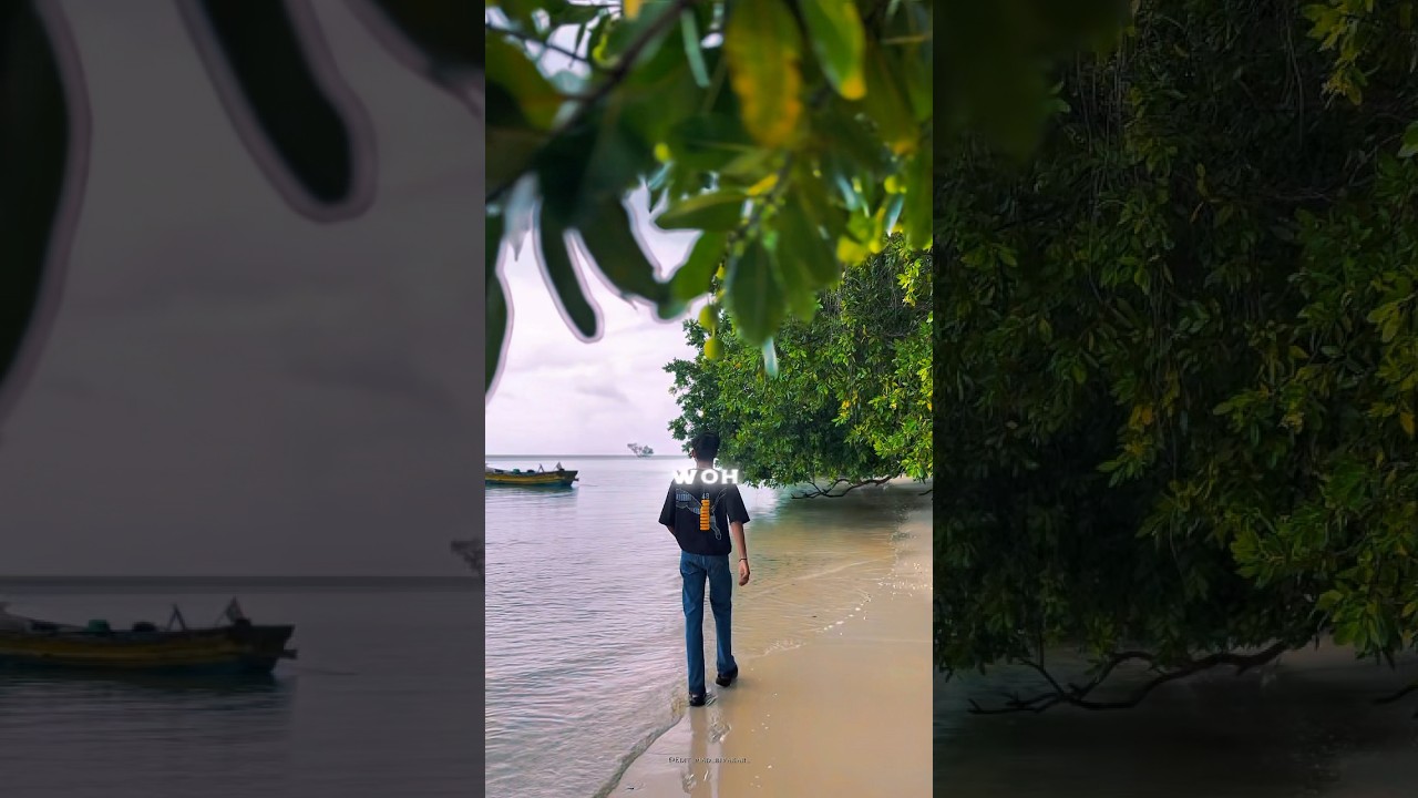 “This beach holds more than footprints.”• 