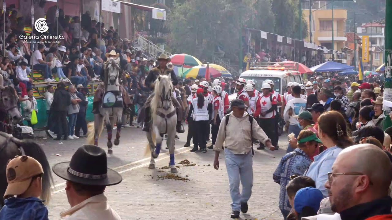 #PATATE | Desfile Señor del Terremoto