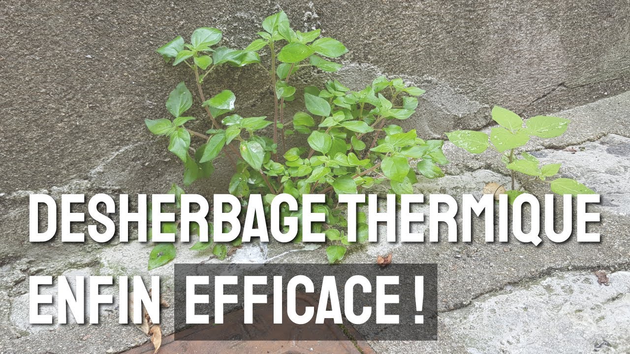 Désherbeur thermique à air chaud pulsé pour désherber sans pesticides