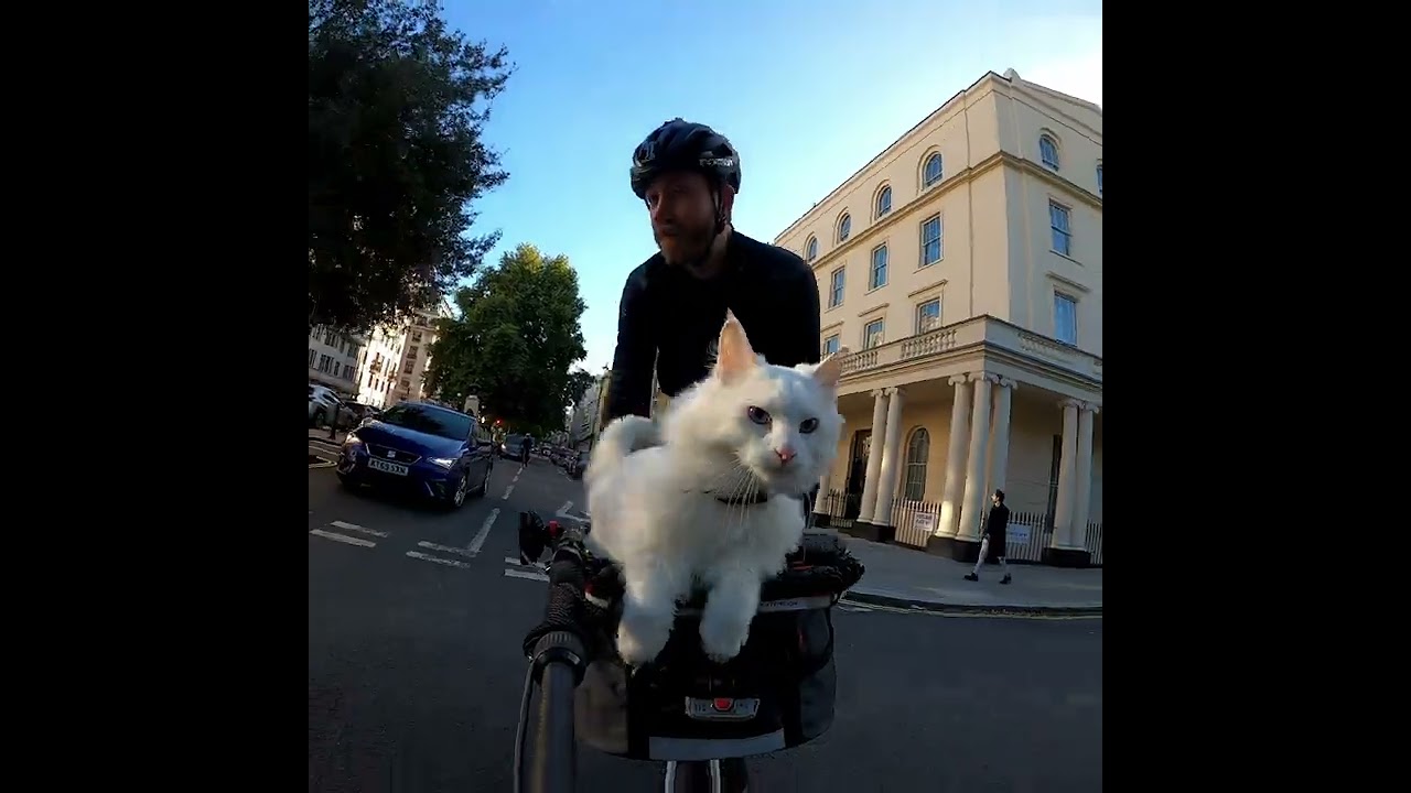 We met some pretty remarkable people on our rides! 😸🤩